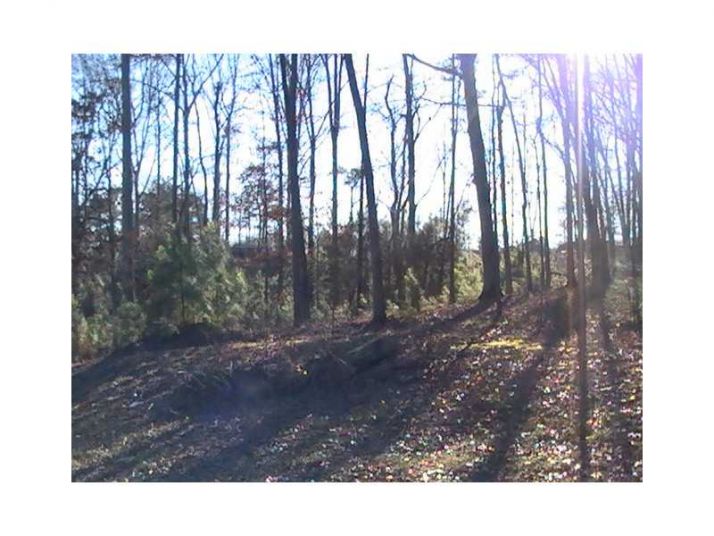 2809 Carson Garret Court, Buford, GA 30519