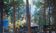7701 Winding Way Grizzly Flats, CA 95636