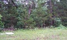 504 W Somonauk Drive Diamond City, AR 72630