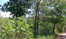 Lot 15 Lynnwood Drive Diamond City, AR 72630
