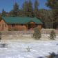 141 Cabin Lane, Guffey, CO 80820 ID:6038883