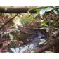 1 Katydid Road, Morganton, GA 30560 ID:6126141