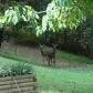 7121 Rand Drive, Douglasville, GA 30135 ID:3426120