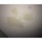 3162 NW 88 AV # 905, Fort Lauderdale, FL 33351 ID:6207757