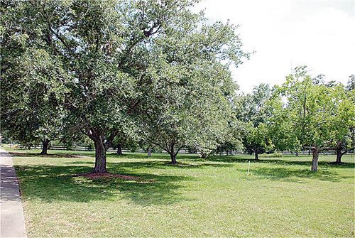 30 WILDERNESS TRAIL, Friendswood, TX 77546