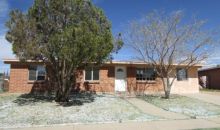 4249 E. Frankfort Stra Tucson, AZ 85706