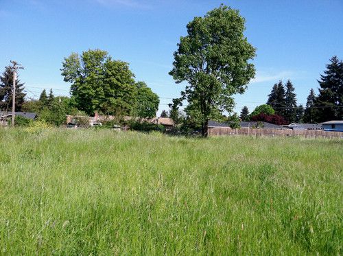 1419 Anderson Lane, Springfield, OR 97477