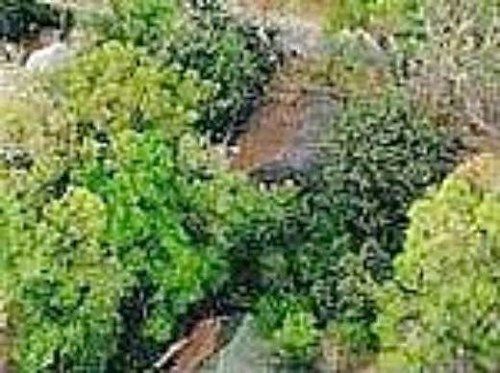 2Nd, High Springs, FL 32643