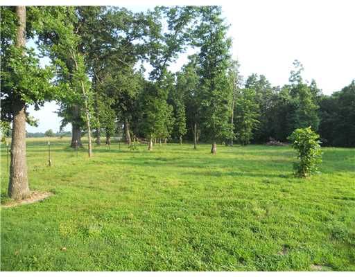 15556 Cincinnati Creek Rd, Summers, AR 72769