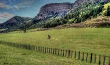 TBD Us Hwy 550 North Durango, CO 81301