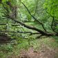 31501 Academy Road, Rochester, WI 53167 ID:680463