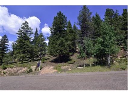 30271 Kings Valley East, Conifer, CO 80433