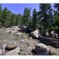 30271 Kings Valley East, Conifer, CO 80433 ID:4226308