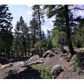 30271 Kings Valley East, Conifer, CO 80433 ID:4226314
