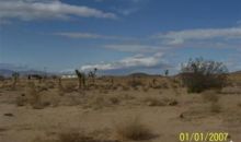 1665 Balboa Ave Mojave, CA 93501