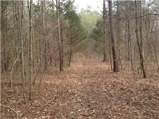 0 Pleasant Valley Road, Union Grove, AL 35175