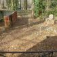 2570 Creekwood Terrace, Decatur, GA 30030 ID:6476484