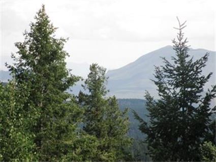 31496 Kings Valley, Conifer, CO 80433