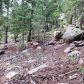 31496 Kings Valley, Conifer, CO 80433 ID:4226319