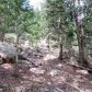 31496 Kings Valley, Conifer, CO 80433 ID:4226320