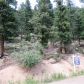 31496 Kings Valley, Conifer, CO 80433 ID:4226329