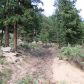 31496 Kings Valley, Conifer, CO 80433 ID:4226331