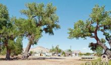 3320 D 1/2 Road Clifton, CO 81520