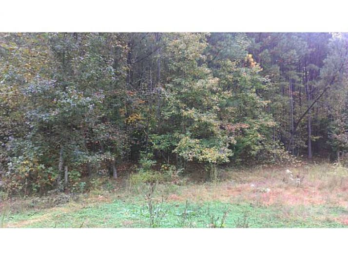 0 Cogburn Road, Cumming, GA 30028