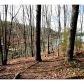 5295 Bay Circle, Cumming, GA 30041 ID:1407747