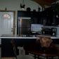 826 Alpine Drive, Jasper, GA 30143 ID:4202185
