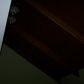 826 Alpine Drive, Jasper, GA 30143 ID:4202193