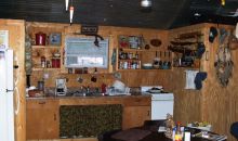 354 NE 432nd Ave Old Town, FL 32680