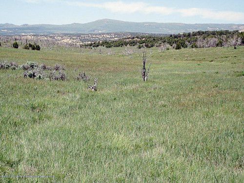 Lot 4 Rbcr 71, Meeker, CO 81641