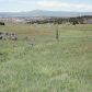Lot 4 Rbcr 71, Meeker, CO 81641 ID:6414170