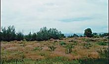 415 Evans St Erie, CO 80516