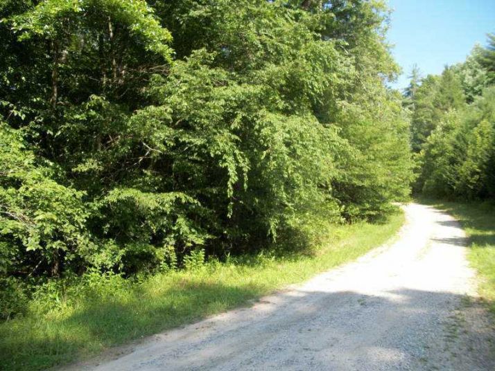 0 Celie Ann Seabolt, Dahlonega, GA 30533
