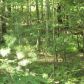 0 Celie Ann Seabolt, Dahlonega, GA 30533 ID:3367174