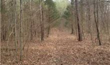 0 Pleasant Valley Road Union Grove, AL 35175