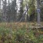 52535 Blueberry Ave, Kenai, AK 99611 ID:6404805