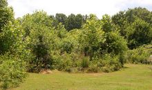 233 Atlanta Road Cumming, GA 30041