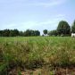 Marion County 7001, Flippin, AR 72634 ID:3327431