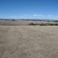 17 RUSSELLVILLE Road, Franktown, CO 80116 ID:6416005