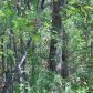 Lot 15 Lynnwood Drive, Diamond City, AR 72630 ID:1167043