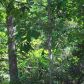 Lot 15 Lynnwood Drive, Diamond City, AR 72630 ID:1167044