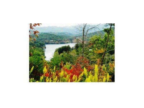 14 Golden Eagle Circle, Turtletown, TN 37391