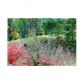 14 Golden Eagle Circle, Turtletown, TN 37391 ID:6124902