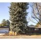 3823 South Elm Street, Denver, CO 80237 ID:6350377