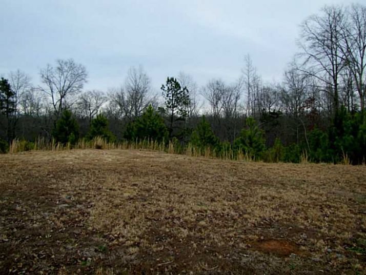 2165 Apalachee Trail, Monroe, GA 30656