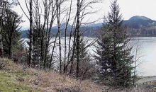 0 Jones Rd Lot 1400 Sweet Home, OR 97386