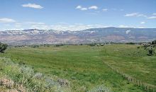 Tbd 58 Road Collbran, CO 81624